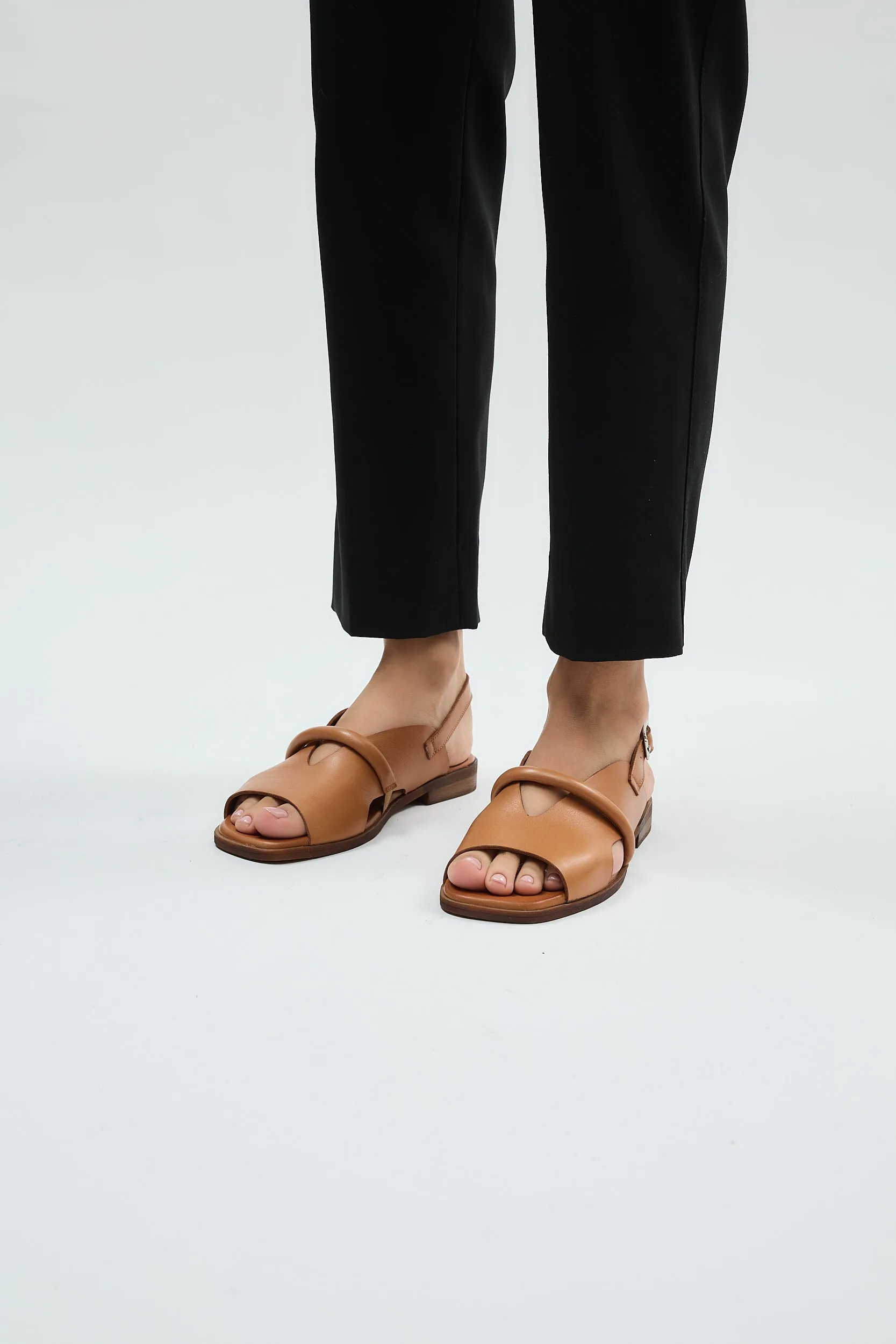 Bergen Coconut