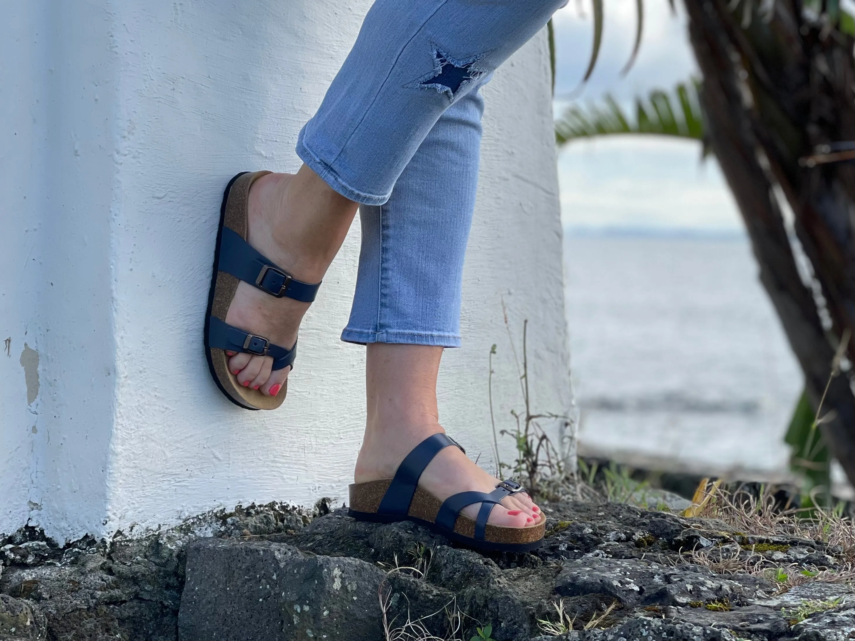Plakton Haz available in 8 colours