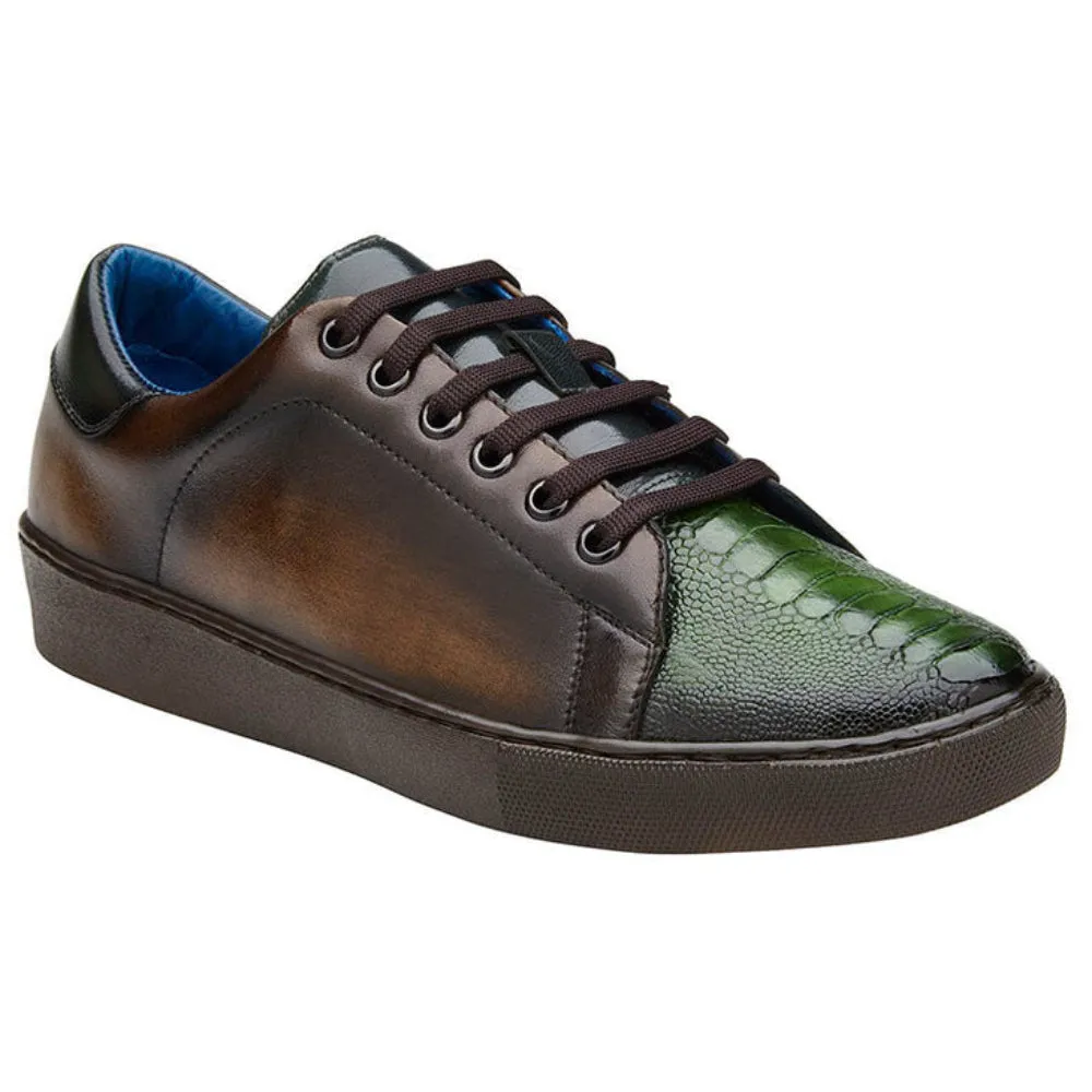 Stone - Chocolate Brown & Forest Green by Belvedere