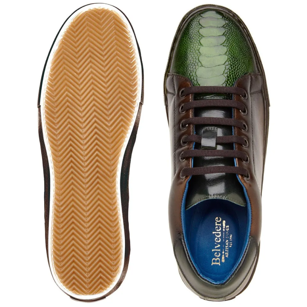 Stone - Chocolate Brown & Forest Green by Belvedere