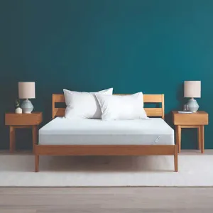 Tuft & Needle 9.5" Memory Foam Mattress
